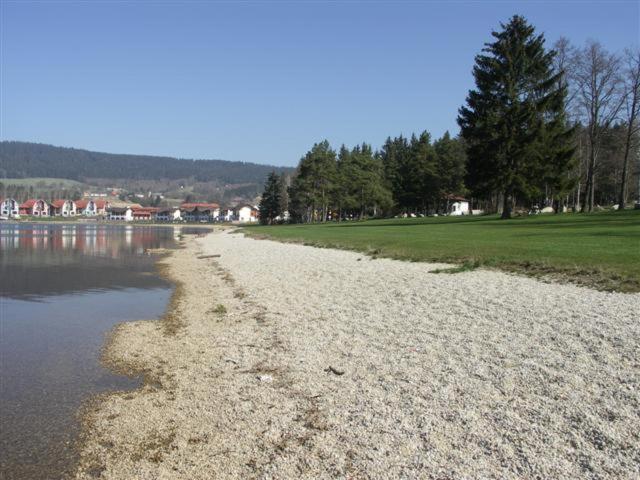 Apartment Lipno Sumava Pro 8 Hostu リプノ・ナト・ヴルタヴォウ エクステリア 写真