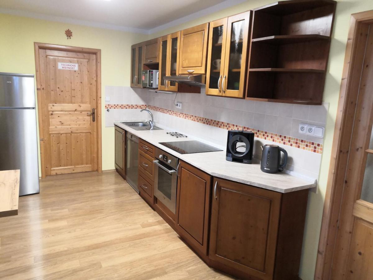 Apartment Lipno Sumava Pro 8 Hostu リプノ・ナト・ヴルタヴォウ エクステリア 写真