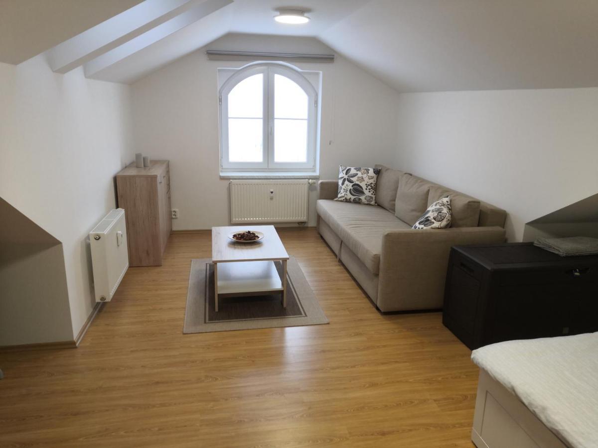 Apartment Lipno Sumava Pro 8 Hostu リプノ・ナト・ヴルタヴォウ エクステリア 写真