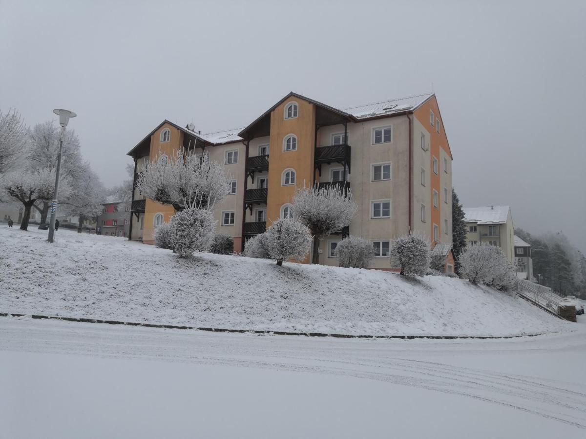 Apartment Lipno Sumava Pro 8 Hostu リプノ・ナト・ヴルタヴォウ エクステリア 写真