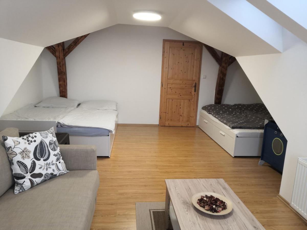 Apartment Lipno Sumava Pro 8 Hostu リプノ・ナト・ヴルタヴォウ エクステリア 写真